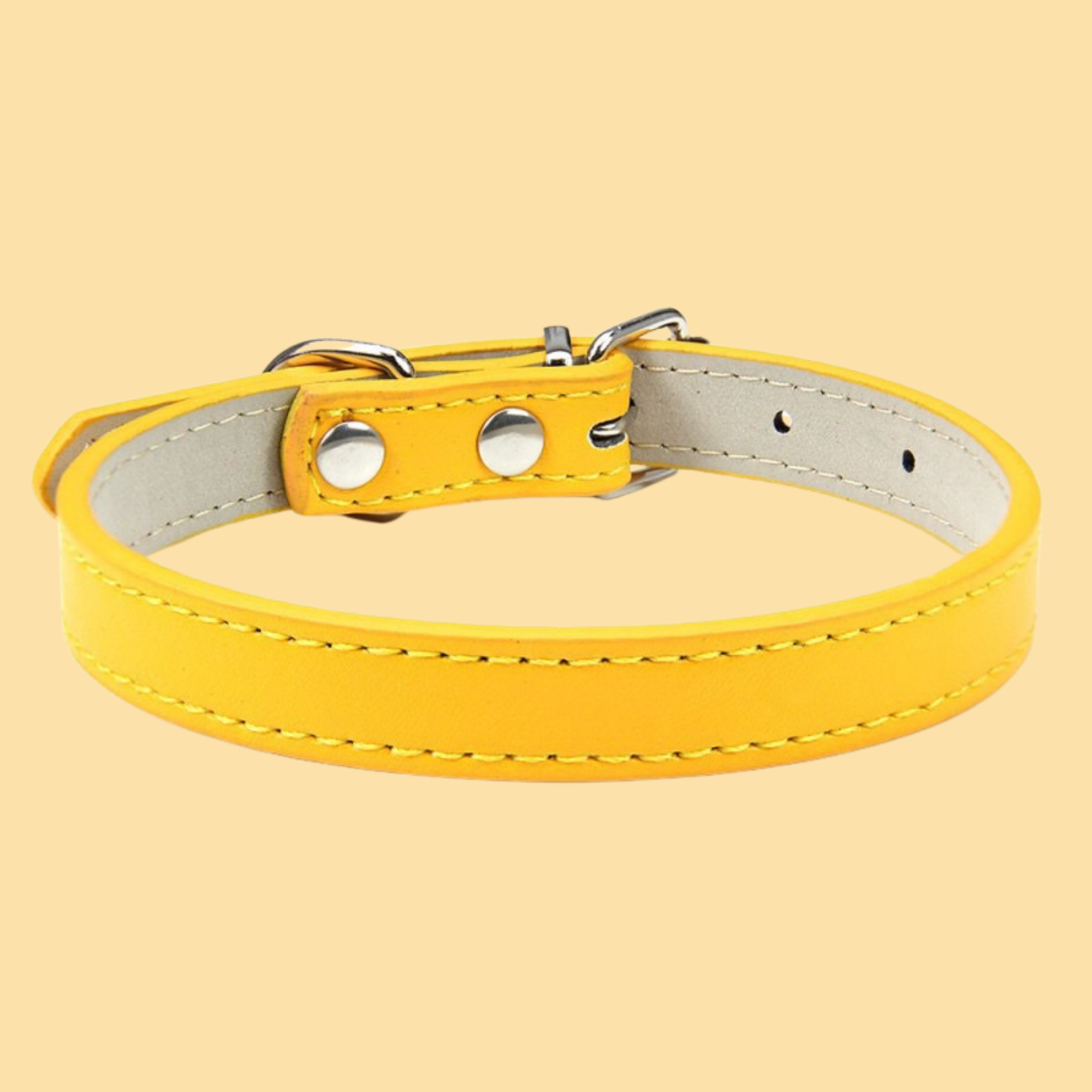 Personalized Pet Collar