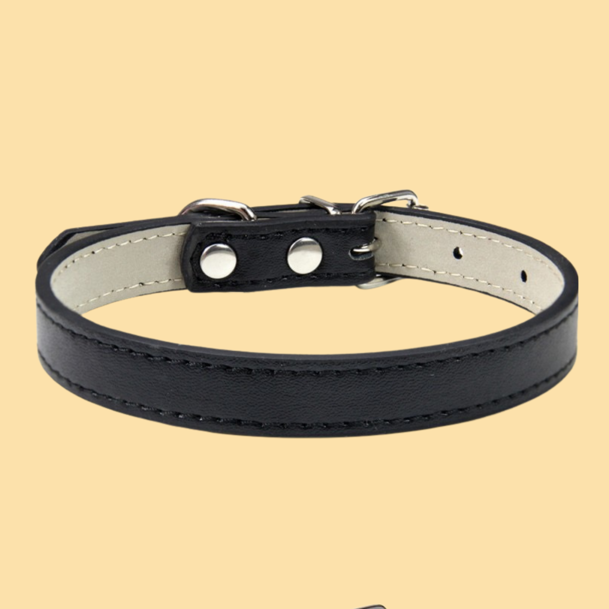 Personalized Pet Collar