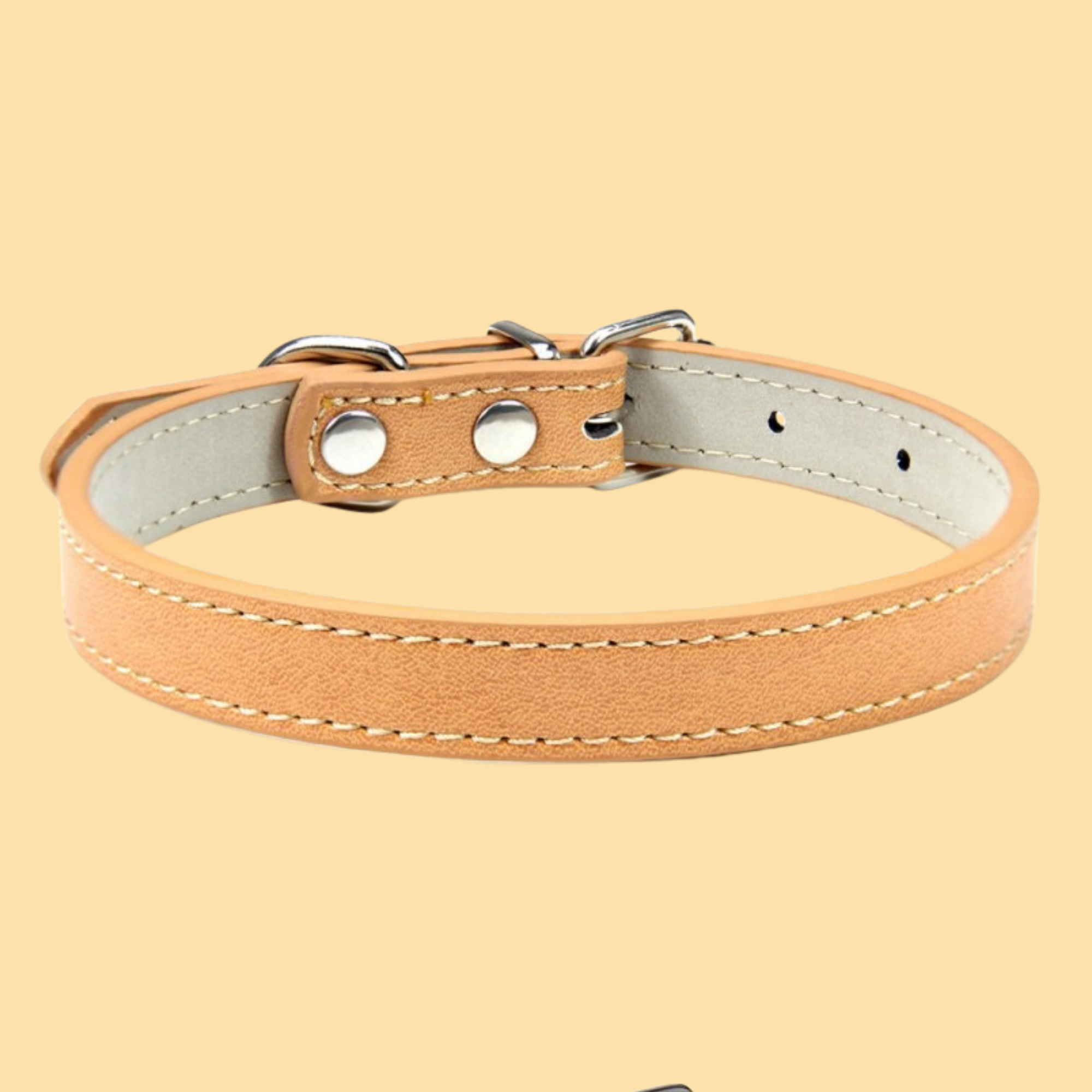 Personalized Pet Collar
