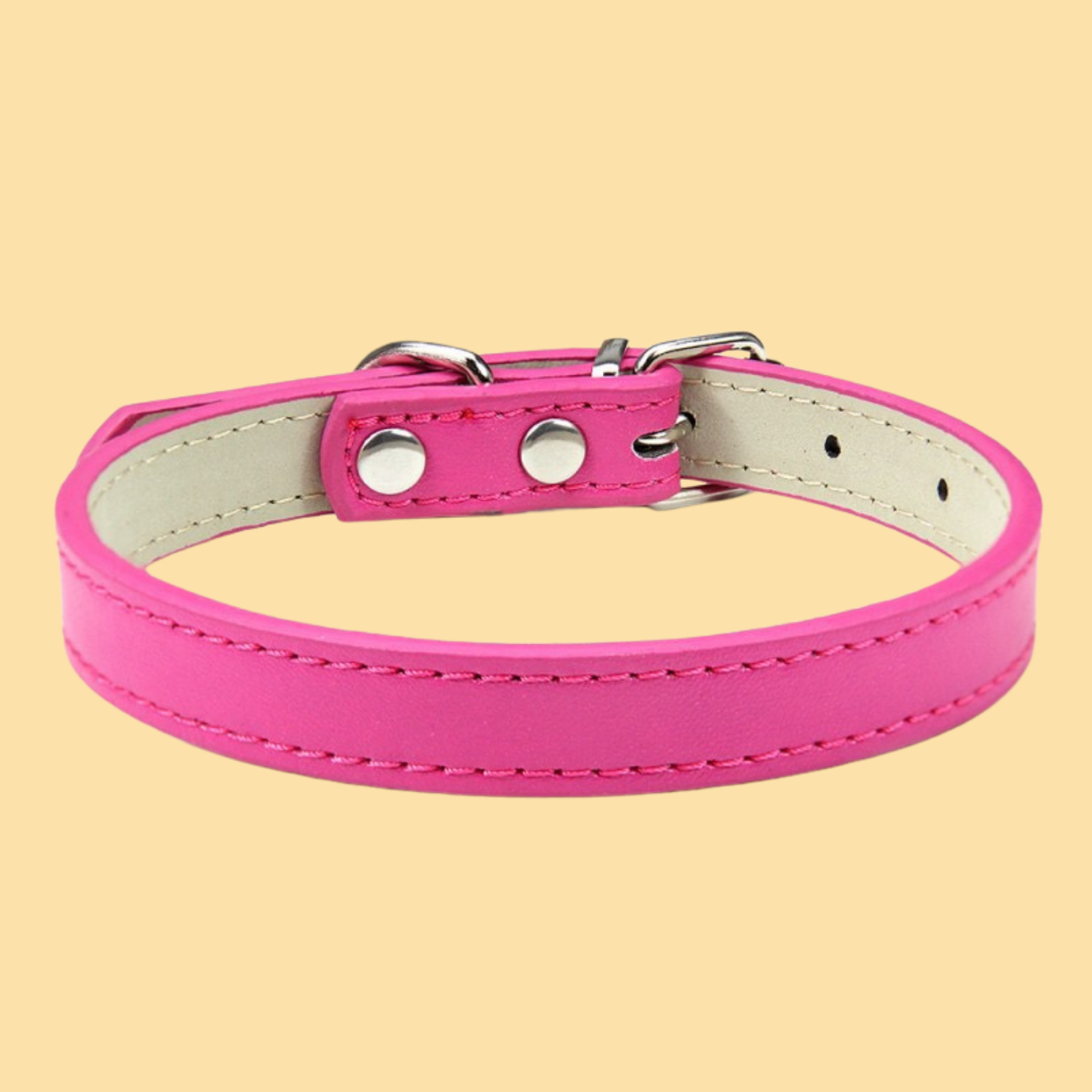 Personalized Pet Collar