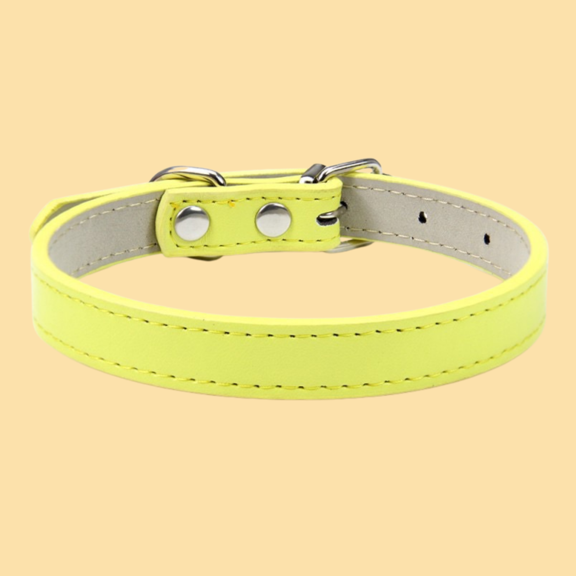 Personalized Pet Collar