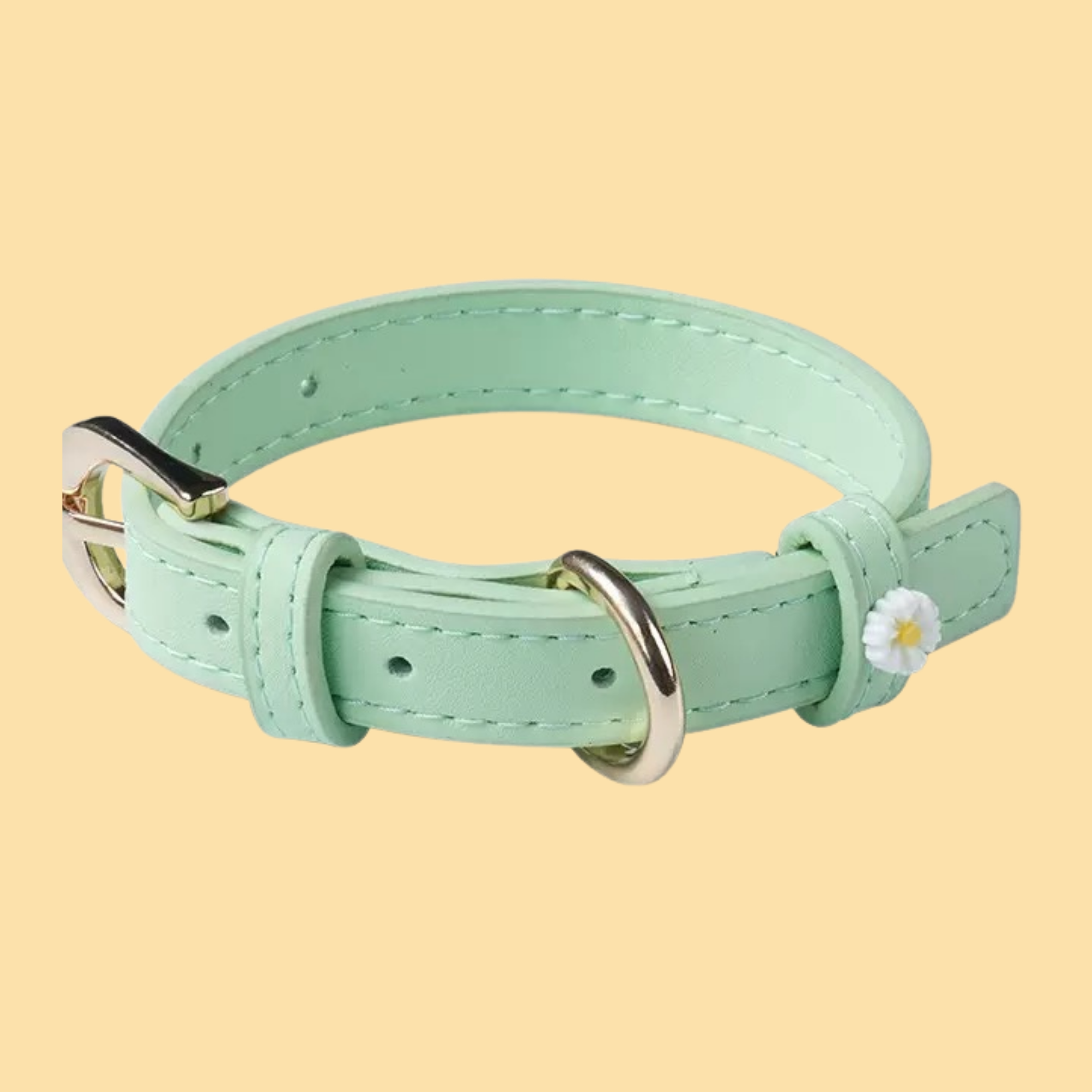 Chunky Personalized Pet Collar