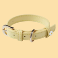 Chunky Personalized Pet Collar