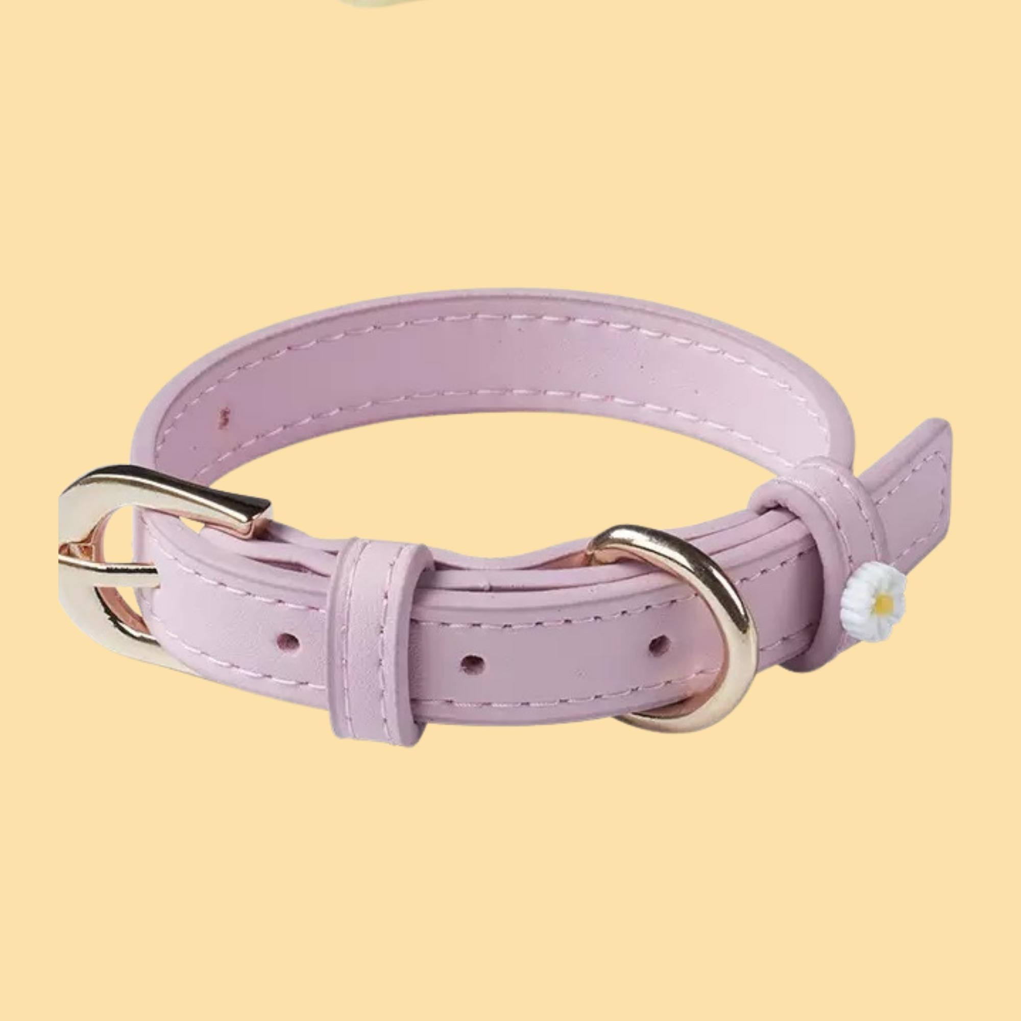 Chunky Personalized Pet Collar