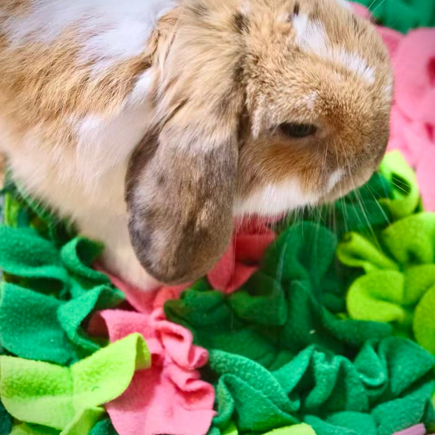 Green Flower Foraging Snuffle Mat