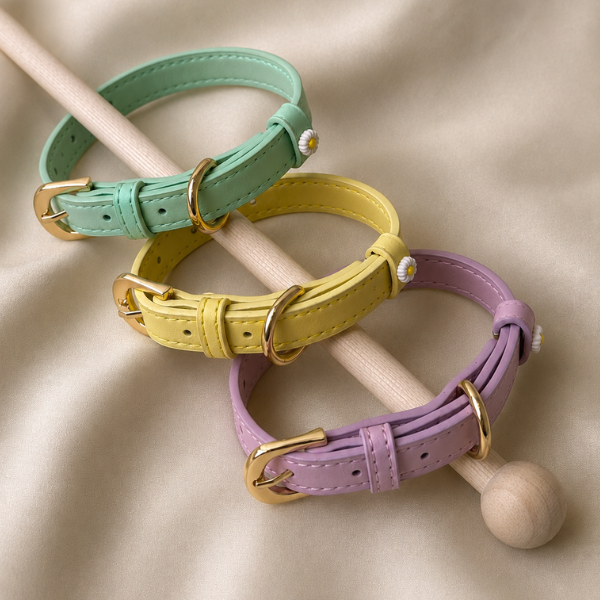 Chunky Personalized Pet Collar