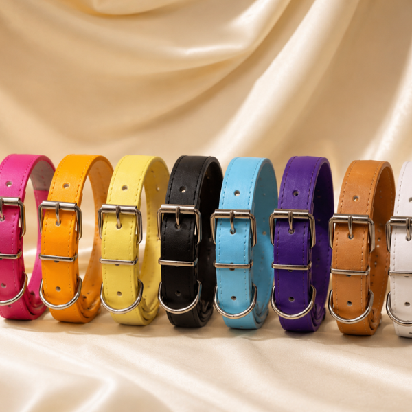 Personalized Pet Collar