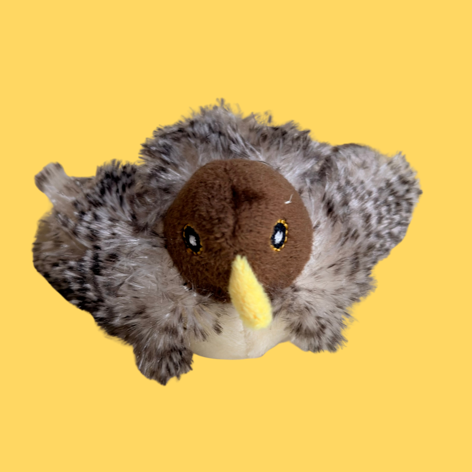 Interactive Flutter Bird
