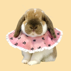 Anchor Ruffled Recovery Collar for Rabbit & Kitty