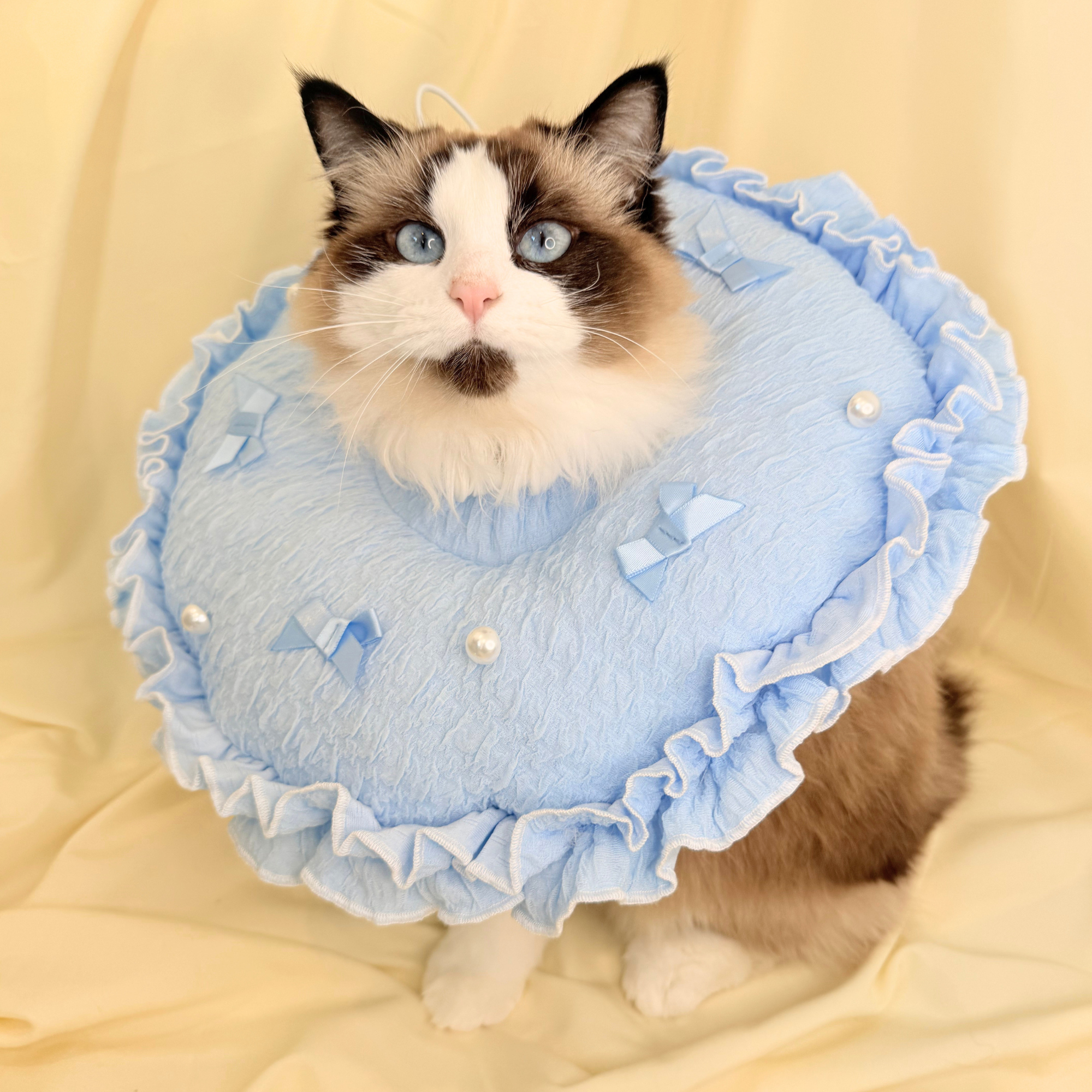 Large Baby Blue Ruffled Cozy Collar