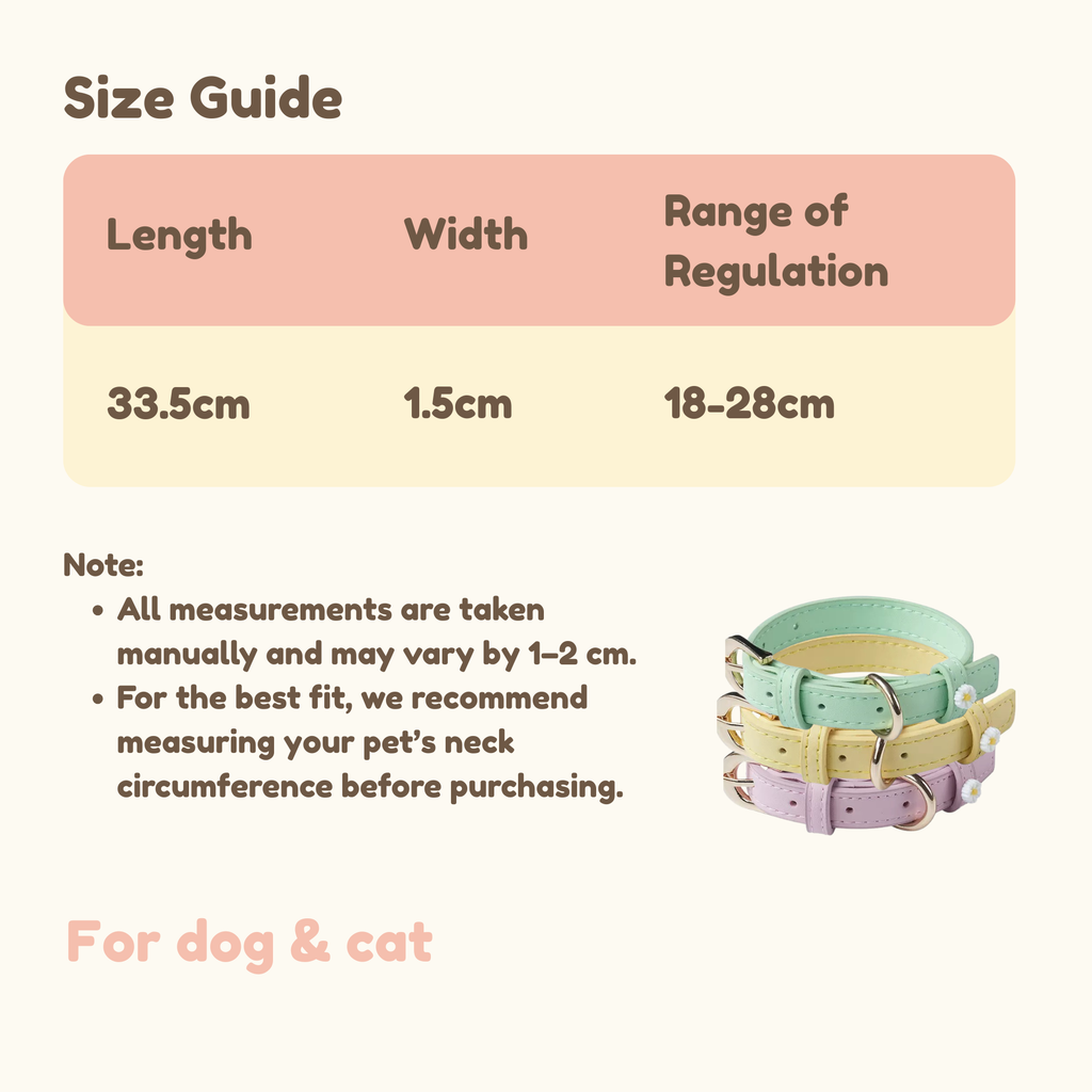Chunky Personalized Pet Collar